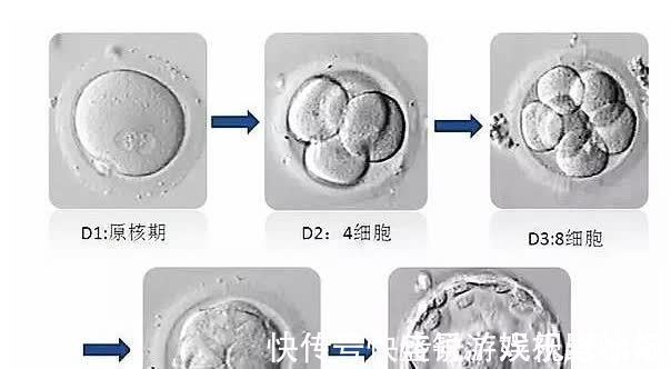宝宝|“试管婴儿”长大后和正常宝宝有2点不同,试管医生说出了实情