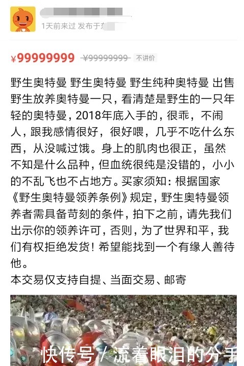 收下|某鱼上的这些沙雕卖家，请收下我的膝盖