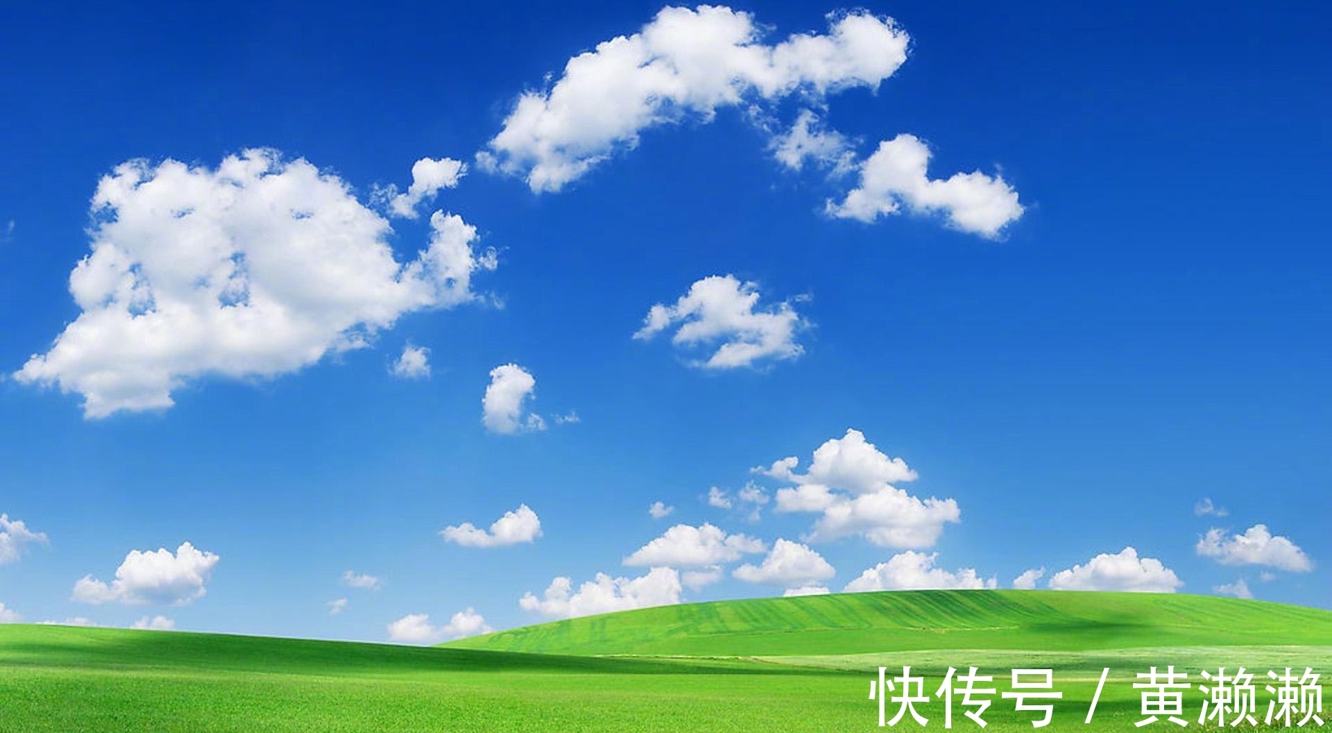 词人@李清照的1首词,让我们大开眼界,值得一读