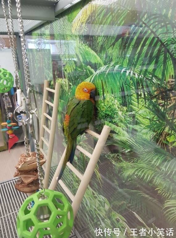 |【被窝段子】因为梦想 所以选择远方;因为无所依靠 所以必须坚强