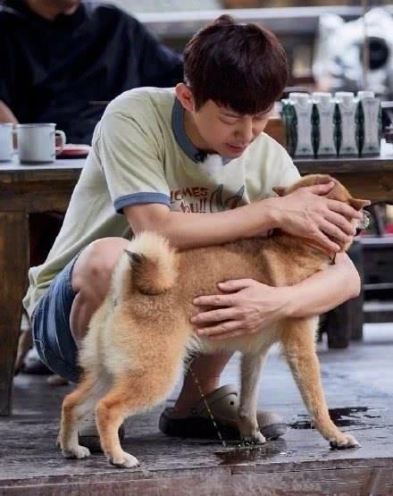 错位图 明星“错位图”有多搞笑谢可寅蔡徐坤接吻没啥,看到何老师笑出腹肌