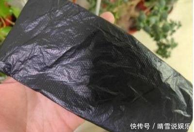 富贵竹不生根一种“液体”泡10天，冒出一圈小白根，越长越精神