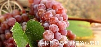 秋天|秋天养生先排毒，推荐3种食物，清理肠胃，排毒养颜，美容护肤