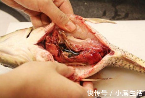 腥味|它是鱼腥味的“天敌”，煮鱼时放一点，增鲜提味，快速去除腥味！