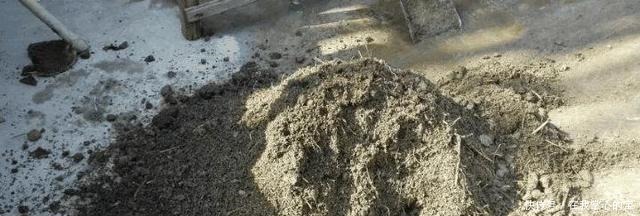 春天换盆“旧土”怎么办加2种“东西”，养花肥沃疏松，能爆盆！