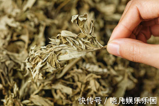 股骨头坏死|一剂特效止痛方！风湿、类风湿、肩周炎、颈椎病、腰腿痛全摆脱！