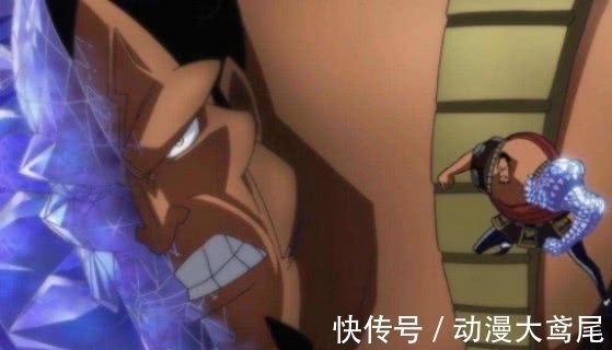 砖石|海贼王：误会最深的果实，尾田重新公布信息！乔兹背锅20年