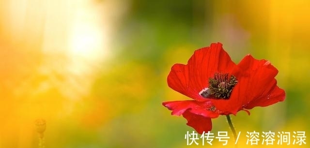 黎明|6天后，不吵不闹，不悲不喜，放下过去，重新出发，迎接黎明