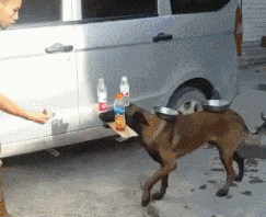 |搞笑GIF:姑娘 你这算是魔术吗 为什么我做不到