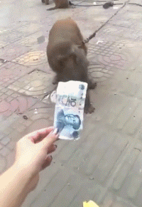 |搞笑GIF： 姐姐 你能矜持点吗