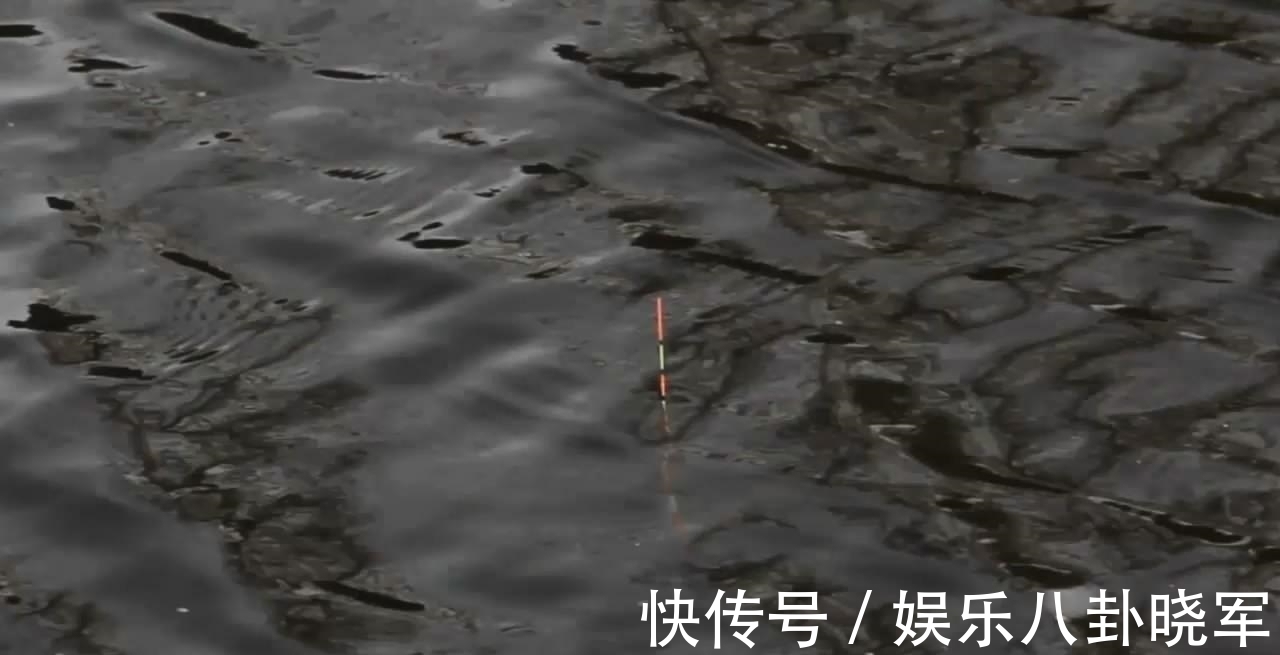 加粗尾的浮漂这样用,灵敏度丝毫不输细尾漂