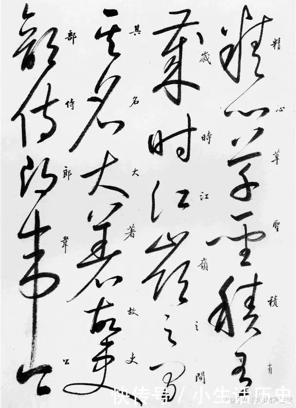 乱书|草书就是乱写乱涂其实不然,下面草书字帖让你正确认识草书