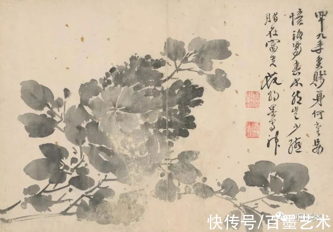 明朝@青藤白阳：明朝花鸟两大高峰