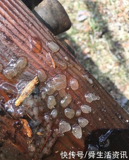 不懂就问!万能的网友,这些奇怪的东西,都是啥啊