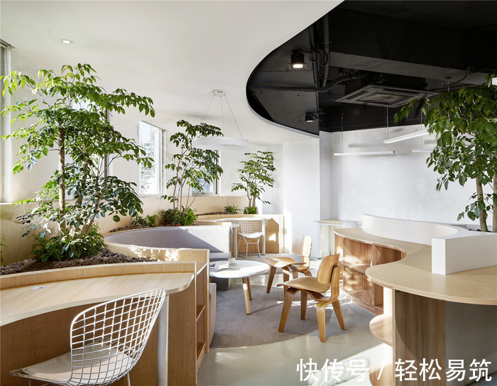 绿植|有趣的办公室,都用这几个设计方案