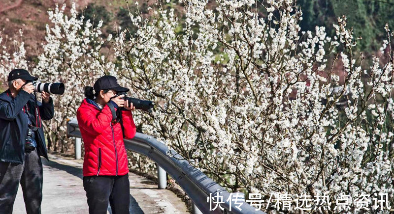 玉峰山|渝北玉峰山：樱桃花开春意浓