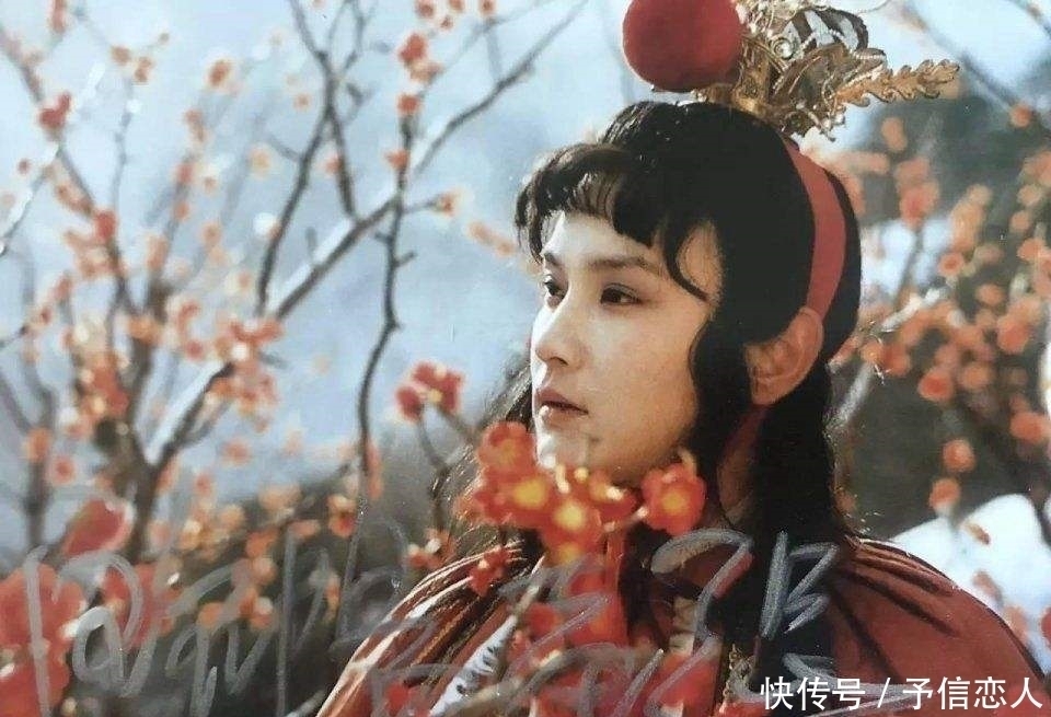 贾政!贾宝玉读书一窍不通,为何轻易考中乡试第七?贾政一语道出答案