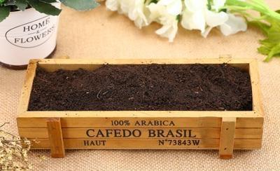 你家附近有这种树吗树下挖几铲,就是“万能土”,养啥花也旺