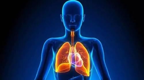 肺部|秋季干燥肺易生病？学会养肺3步法，养肺养生两不误
