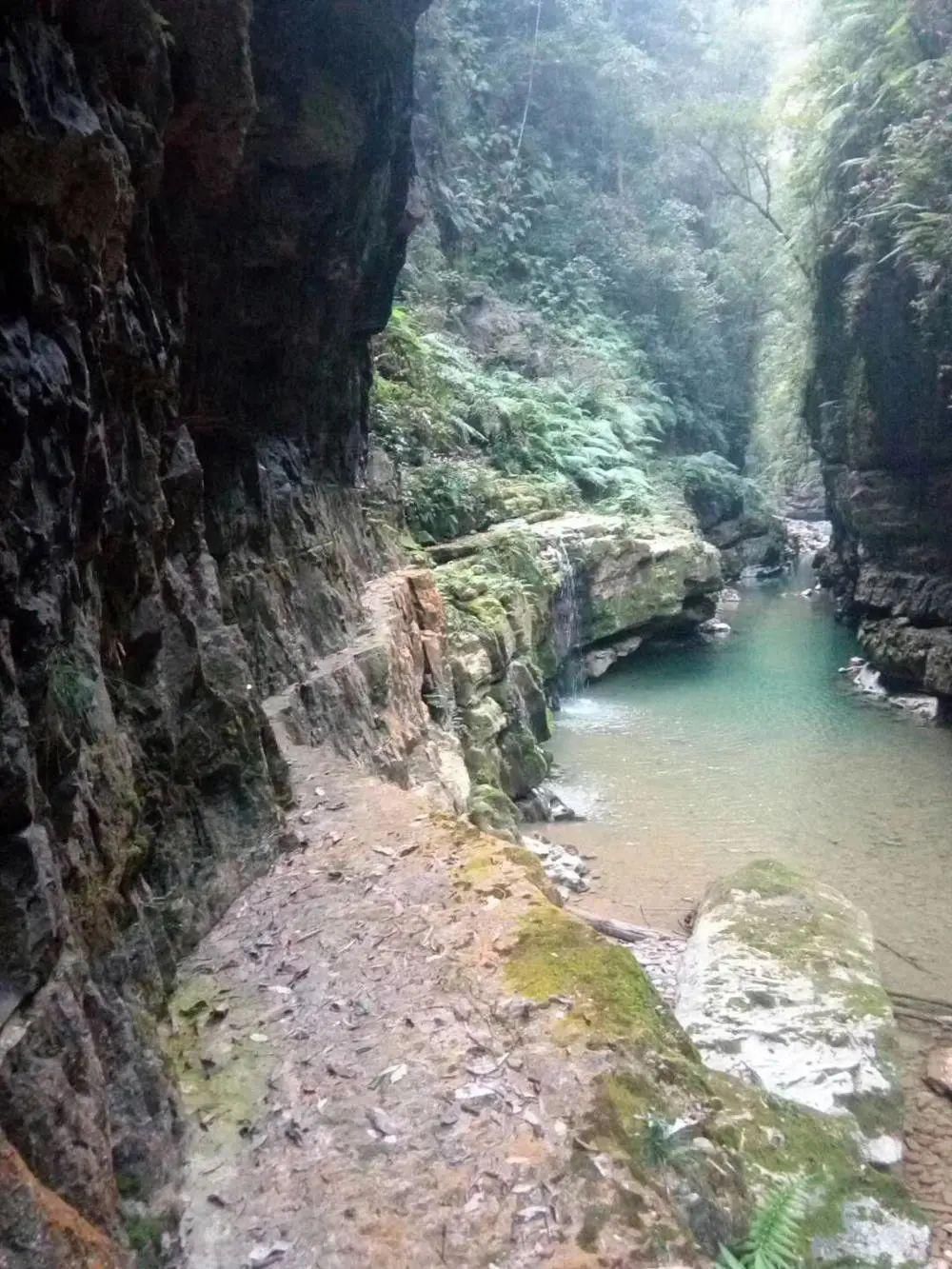 景观|藏在石柱深闺的神奇景观之地，大多数石柱人都没去过，光看图都超美