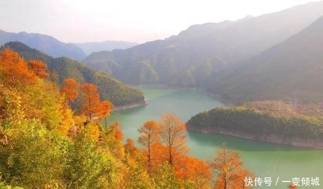 有400年历史的古村,藏在四明山深处,浙东第一古树村！