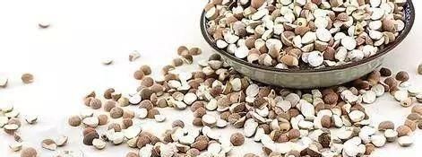 湿气重的人的注意,3种食物可多吃,3种食物再喜欢还是尽量少吃