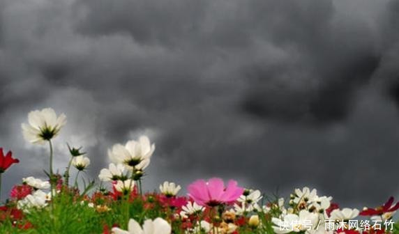 李贺最奇葩的遭遇,竟然因为父亲名字不让科举,无奈写下一首诗