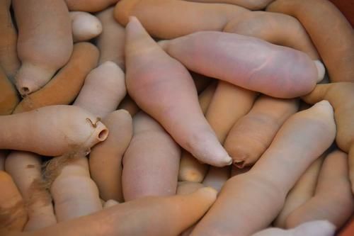 60岁老渔民告诉你，这3种海产品虽然外观恶心，但其味道鲜美无比