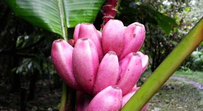 高脂食物|经常便秘的人，记住多做2事，少吃2物，常喝一杯水，肠道更干净