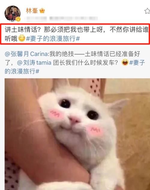 妻子5终于定档，林峯张馨月说土味情话好甜，2位小助理加盟果断追了