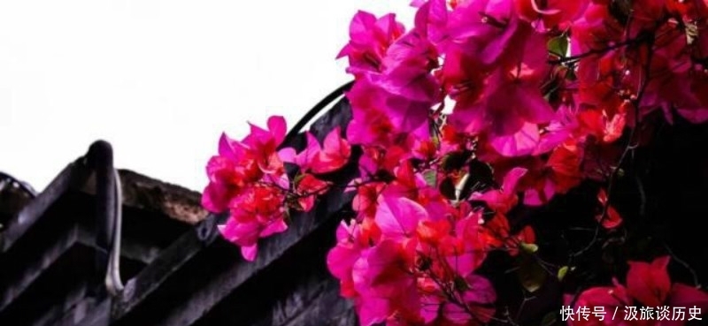 选入课本最多的一首宋诗,其中有一句脍炙人口,但意思却又扭曲了