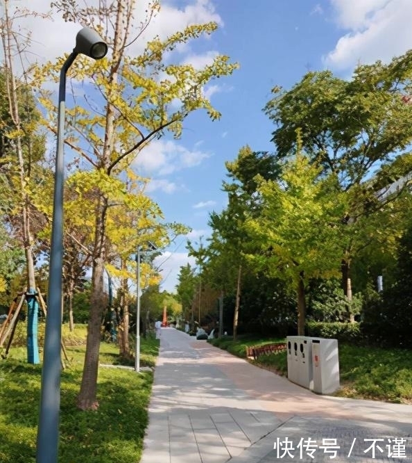 R2|「集微拆评」坚果R2评测：旗舰配置加独有功能，手机更好用了