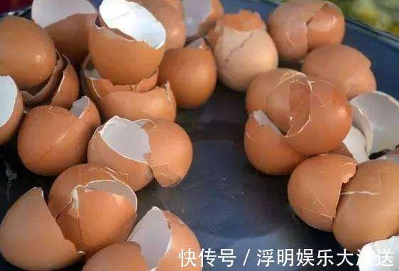 花卉|养蟹爪兰不开花往花盆里撒“2种废渣”,花芽长出来,开出花!