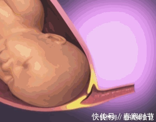 宝宝|生孩子到底有多痛?10张图告诉你:宝宝如何一步步来到这个世界