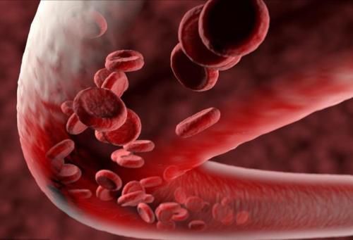 甘油三酯|高血脂的祸根找到了！抽烟喝酒排第二，排在首位的你根本没重视