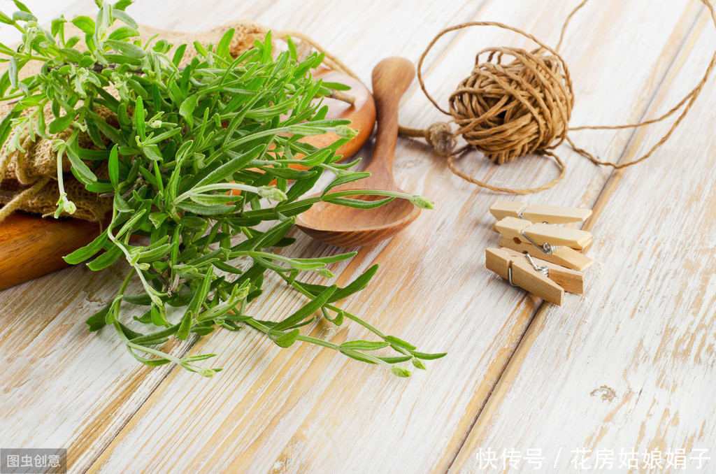 家里养一盆这种植物,不但提升“大脑能量”,还能祛食物异味