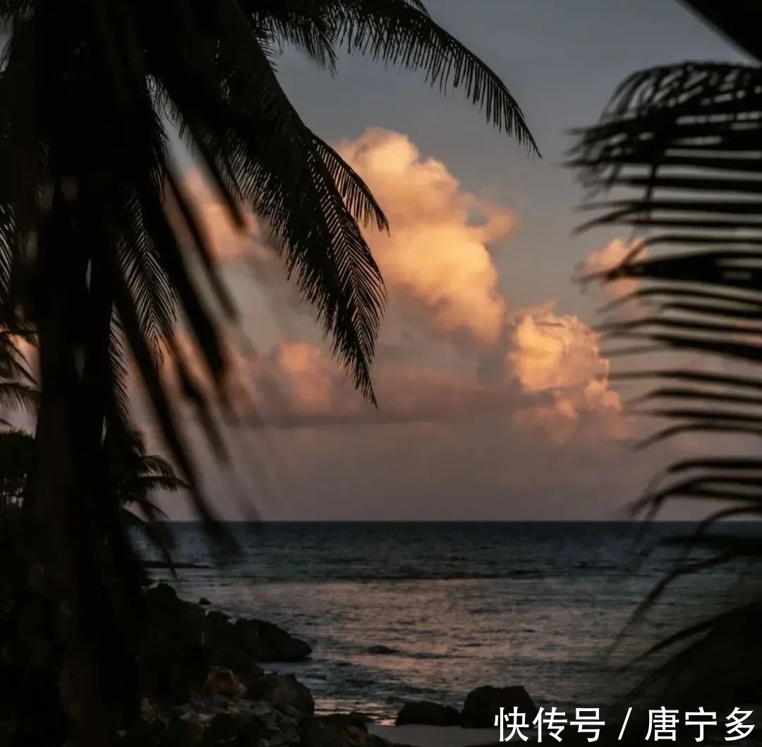 墨西哥!这本书不到8万字,让我们看到孤独是人生的常态