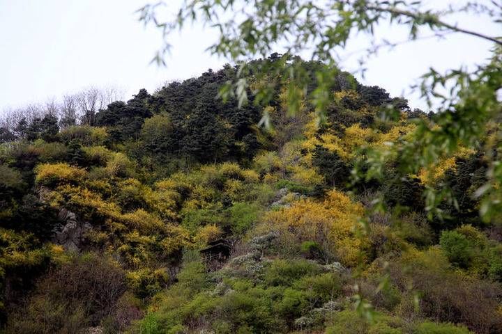 跑男第一站，打卡九如山