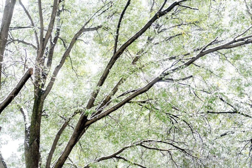 终究|终究是雪，温润了临潼的时光——