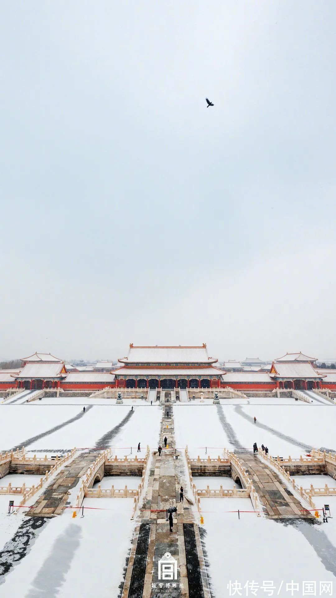 雪景|虎年初雪，故宫绝美雪景上新了