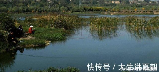 诱饵|农村小伙钓鱼就是狠,这样打窝,钓鱼钓到手发软