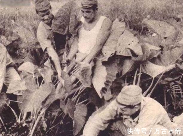 百姓|日本鬼子不敢公开的照片：张张都是罪证，图3行为令人发指！