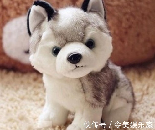 毛绒玩具|不管家多穷，搬新家时都别带二样东西，别不当事，早点清楚就好了