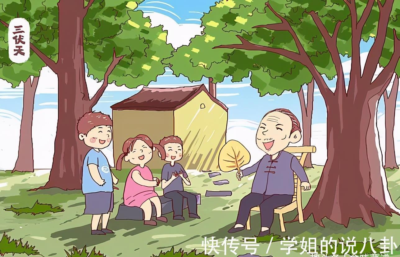 三伏天养生|三伏天养生,建议每天吃点清淡的,教你3种家庭小炒,健康度夏天