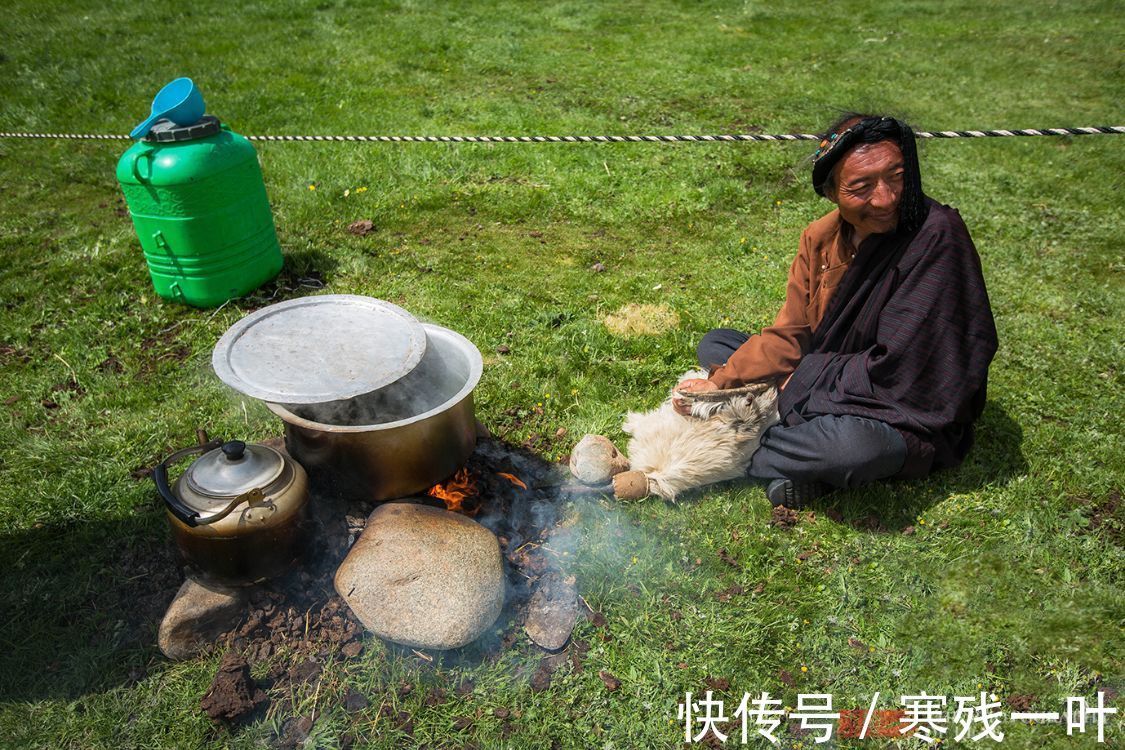 高原|这是藏族人招待贵宾的顶级美食，看着有些特别，但很多人不敢吃