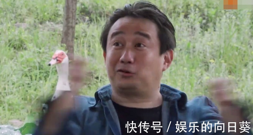 聊天|杨紫透露爱看《向往》，却喊错小H名字，跟黄磊彭彭聊天还露馅了！