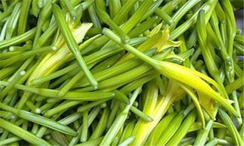 黄瓜|女性想要皮肤好，适合常吃3种食物，补充胶原蛋白，排毒又润肤