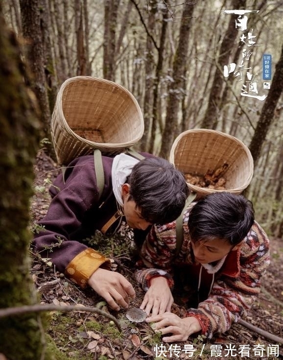 《百姓的味道》寻“味”理塘 丁真邀谢霆锋体验牧民生活