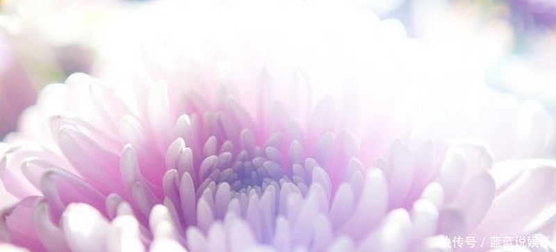 王安石第二次拜相,他的老对手苏轼不满,于是写下一首讽刺的诗!