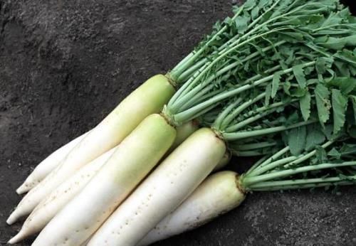 正确|做萝卜丸子时,加淀粉是不对的,教你正确做法,丸子外香酥馅香软